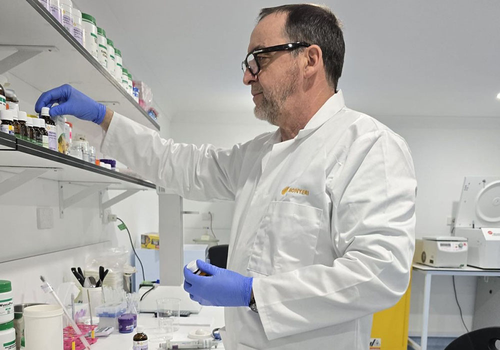 Prof Gilles Intellectual Property