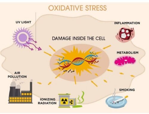 Kami Kini Melakukan Pengujian Kapasitas Antioksidan Produk